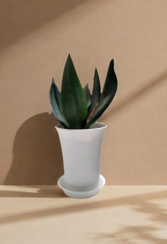 12 Pack 3.5 inch Plant Saucers Flower Pot Trays, Plastic Planter Drip Tray - size: 3.5"-12pcs