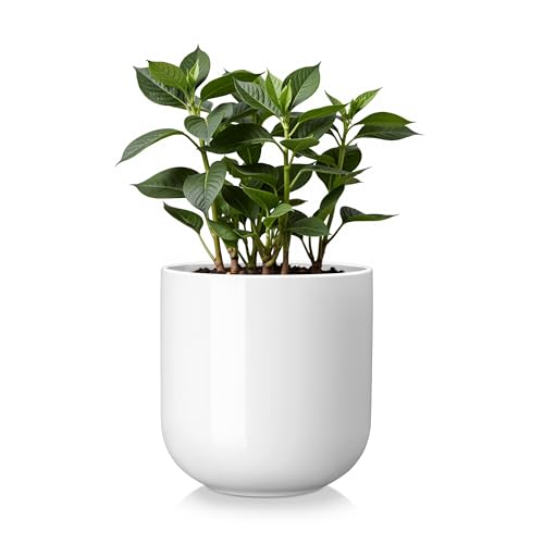 vancasso 6 Inch Ceramic Plant Pots, Planters with Drainage Hole, Flower Pots Planters Pots for Indoor Plants, Modern Indoor Decorative Garden Pot, Home Decor, White - color: White, size: 6 Inch