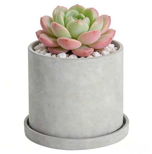 Ekirlin 6 Inch Indoor Plant Pot, Natural Cement Grey Garden Planters, Outdoor Concrete Flower Plant Pots with Drain Hole Saucer Tray, Modern Succulents Containers for Home Decor,Office and Most Plants - size: 5.6 inch