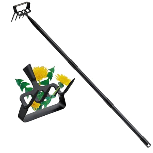 Garden Hoe and Cultivator Heavy Duty, Scuffle Loop Action Weeding Tool with Long Handle 30-60 Inch, Metal Weeder Scraper Stirrup Hoe Rake - size: 30-60"