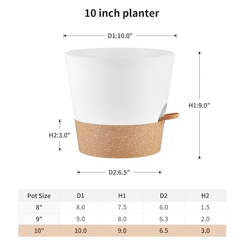 FaithLand 2-Pack 10 Inch Planter Pots for Indoor Outdoor Plants, Self Watering Flower Pots with Deep Reservoir, White with Terracotta … - color: White With Terracotta, size: 10 Inch