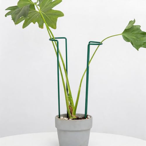 Set of 10 Indoor Plant Support 12“- Durable U-Shape Iron Supports - color: Green, size: 12 Inch H
