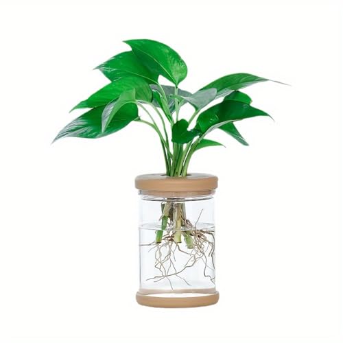Plants Propagation Stations,Separated Desktop Flower Vase for Living Room and Bedroom, Decorative Vases for Wedding, Valentines' Day, Mother's Day