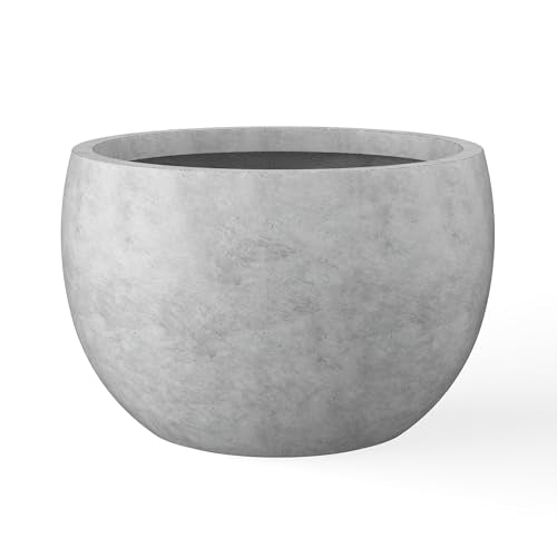 Kante Accent Round Bowl Pale Gray Concrete Planter 15.7" Dia, Outdoor - color: Natural Concrete, size: 15.7" d