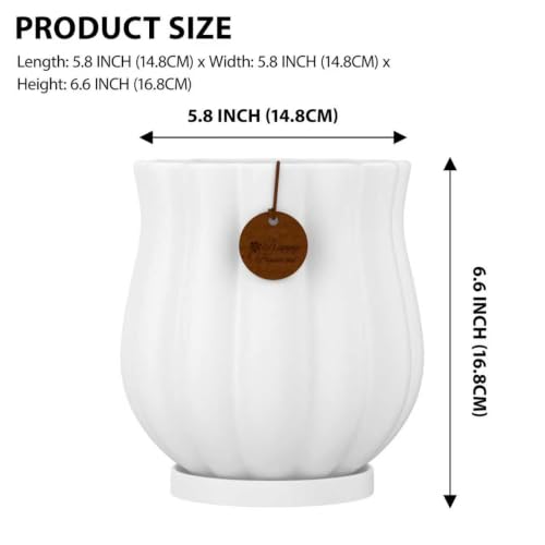 5.8" Matte White Ceramic Plant Pot with Saucer - color: Matte White, size: Medium