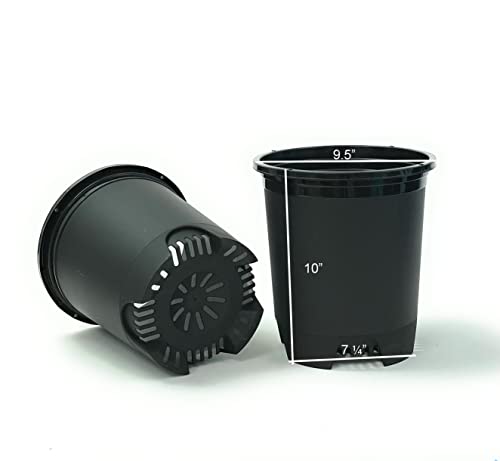 3 Gallon Nursery Pot Plastic Planters for Outdoor Indoor Plants Gardening 6-Pack Flower Pots Plant Pots with Drainage Holes - color: Black, size: 6-Pack 3 Gal