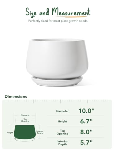 LE TAUCI Ceramic Planter, 10 Inch, Large Plant Pot, Indoor Plant Pot, White - color: White, size: 10"