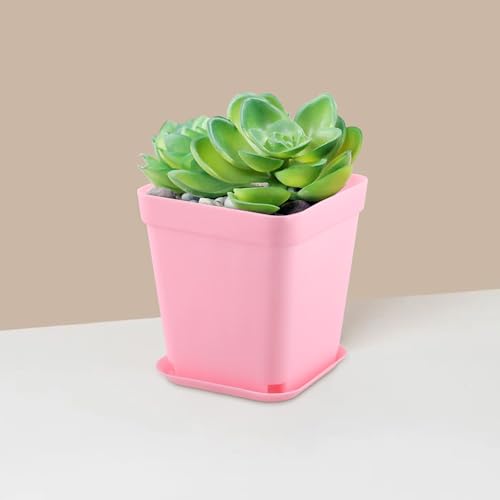 HOIGON 100 Pack 2.75 Inch Pink Square Nursery Pot, 7cm Thickened Plastic Nursery Pots with Drain Holes Trays, Small Square Planting Containers Bulk Set for Seedling Flower Tomatoes Basil - color: Pink