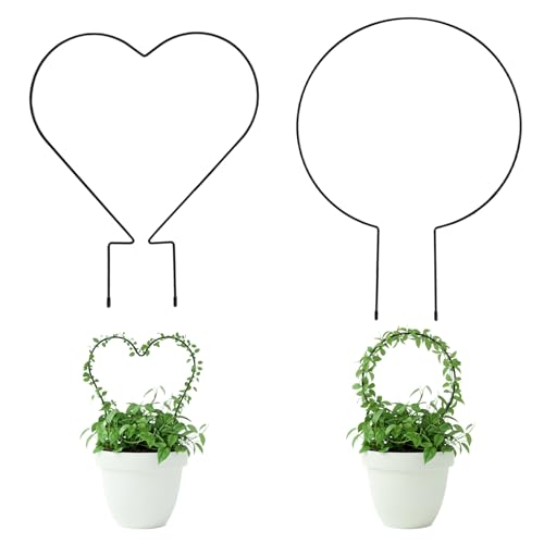 Trellis for Potted Plants, Small House Plant Support, Indoor Plant Trellis for Climbing Plants (Circle and Heart Shape)