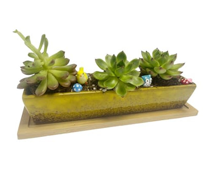 9.8inch yellow long rectangle Ceramic Succulent Planter Pot,one set of Mini Flower Plant Container with Bamboo Saucers. Product size:9.8 x2.35x1.77 inch,not include the plant. (Yellow) - color: Yellow