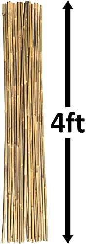 Natural Bamboo Poles, Eco-Friendly Plant Support Garden Stakes 4ft Long, Diameter of 3/8" (25-Count) - size: 4 ft, 3/8" Diameter (25-Count)