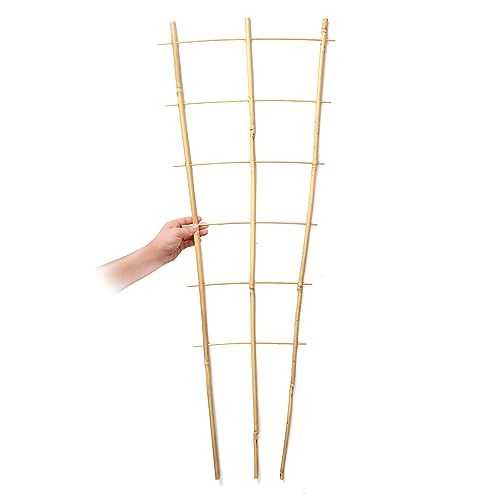 SWANGSA 6 Pack 3Ft Bamboo Trellis for Climbing Plants,35.5 Inch Fan-Shaped Bamboo Plant Trellis with 100pcs Twist Ties for Outdoor and Indoor Potted Plants Garden Stakes - size: 3ft