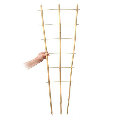 SWANGSA 6 Pack 3Ft Bamboo Trellis for Climbing Plants,35.5 Inch Fan-Shaped Bamboo Plant Trellis with 100pcs Twist Ties for Outdoor and Indoor Potted Plants Garden Stakes - size: 3ft