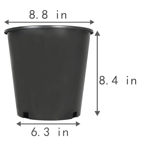 2 Gallon Plant Nursery Pot 10-Pack 2 Gallon Plastic Garden Planter Pots Flower Seedling Injection Molded Container Seed Starting Pot for Indoor Outdoor Plants Seedlings Vegetables Black - size: Standard 2 Gallon