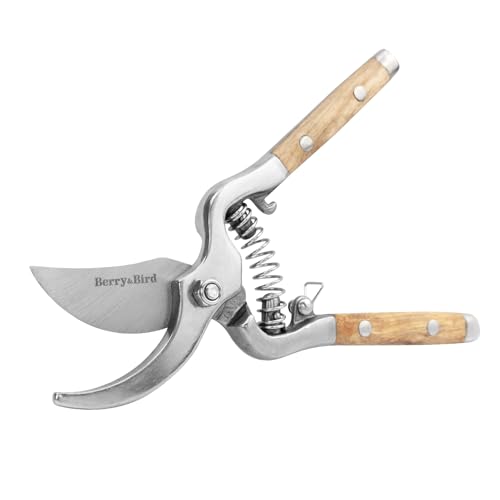 Berry&Bird 8'' Bypass Pruning Shears with Wooden Handle, Curved Blade Garden Hand Pruner, Stainless Steel Scissors Ultra Sharp Clippers for Gardening Trimming Cutting Bonsai Plant Flower & Picking - style: 8'' Curved Blade Scissors