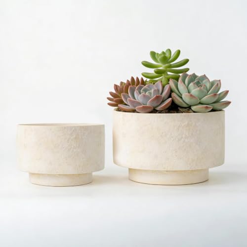 Succulent Pots, 8"+6" Plant Pots, Ceramic Planters for Indoor Plants - color: Beige