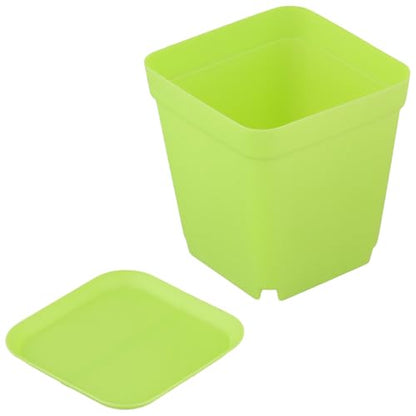 HOIGON 100 Pack 3 Inch Square Nursery Pot, 5 Colors Durable Thickened Plastic Nursery Pots with Drain Holes and Saucers, Small Square Planting Containers for Flower Tomatoes Basil - color: Black, Purple, Green, Pink,yellow