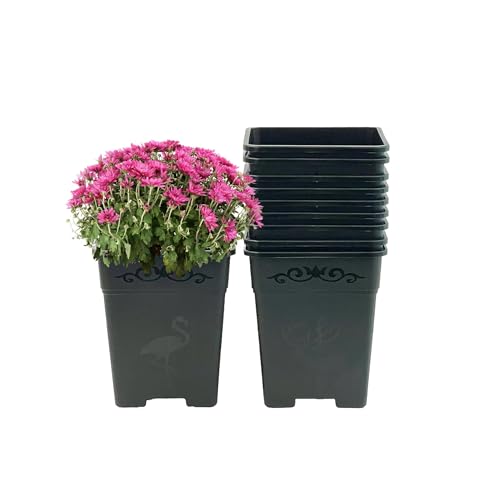 2 Gallon Square Nursery Pot Plastic Planters for Outdoor Indoor Plants 10-Pack with Drainage Holes Black - color: Black, size: 10-Pack 2 Gal Square