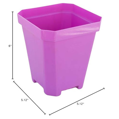 Bootstrap Farmer 16 pc Purple Heavy Duty Square 5 in Nursery Pots for Seed Starting Flowers Germination with Drainage Holes - color: Purple, size: Pots Only