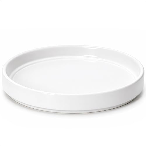 D'vine Dev Ceramic Plant Saucer/Drainage Tray, 11.8 in, White, 97-T-A-6 - color: White, size: 11.8" (1 Pack)