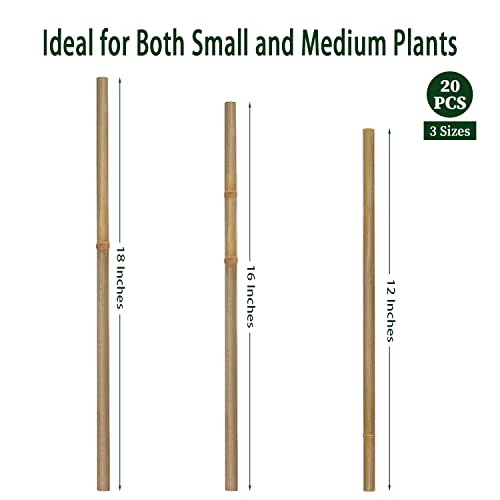 Plant Stakes,18IN Natural Garden Bamboo Sticks, 20Pcs Plant Support Stakes - size: 18 Inches, Pack of 20