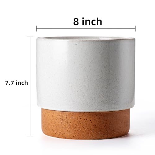 8 Inch Ceramic Self Watering Planter with Drainage Hole, Grey - color: Gray, size: Medium