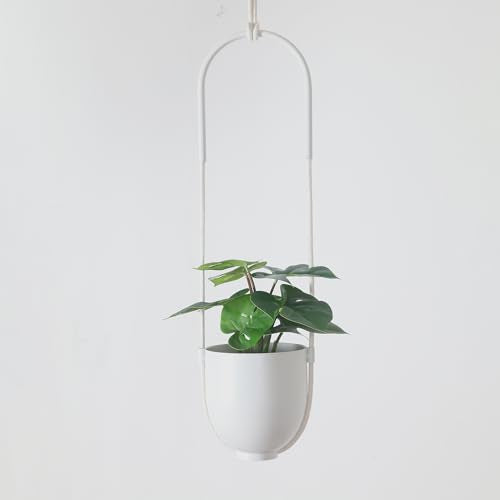 Boho Hanging Planter for Indoor Outdoor Plants Modern Wall and Ceiling Hanging Plant Basket Holder Hanger for Vines Succulents Ferns Room Decor(White) - color: White, size: A