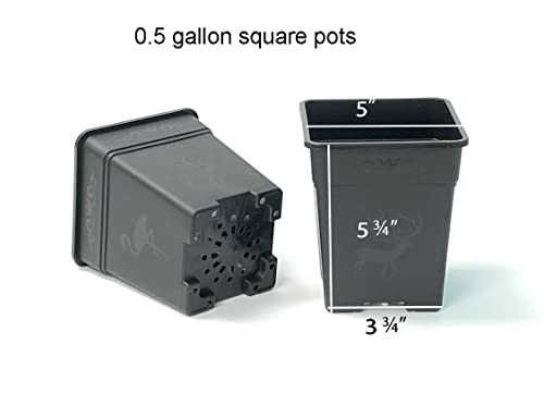 Square Nursery Pot 0.5 Gallon Plastic Planters for Outdoor Indoor Plants 10-Pack with Drainage Holes 5 inch Nursery pots - color: Black, size: 10-Pack 0.5 Gal Square