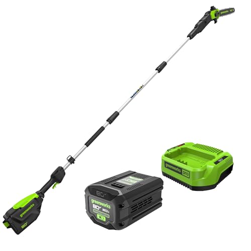 Greenworks 80V 10 in Electric Pole Saw, 2.0 Ah Battery and Charger - size: 80V 10" Brushless Gen 2 (2.0Ah)