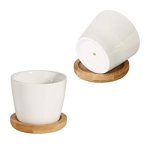 T4U 2.5 Inch Small White Succulent Planter Pots with Bamboo Tray Round Set of 4, Ceramic Succulent Air Plant Flower Pots Cactus Faux Plants Containers, White Modern Decor for Home and Office