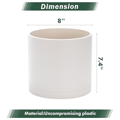 D'vine Dev Plastic Planter Pot with Saucer, 8 in, Oatmeal, 74-X-H-1 - color: Oatmeal, size: 8 Inch