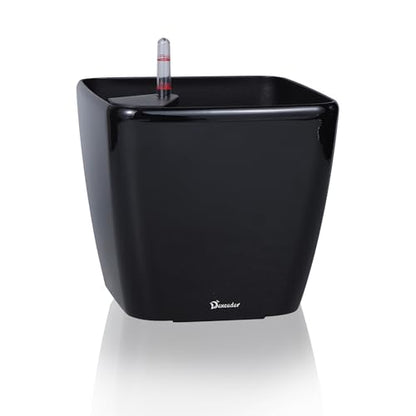 Dexceder 11x10 Self Watering Planter (Black High Gloss) - color: Black, size: 11x10