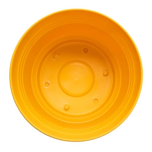 Bloem Saturn Planter w/Saucer (SP0723), Earthy Yellow, 7", 7" - color: Earthy Yellow, size: 7"