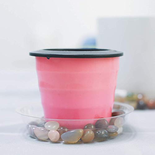 TRUEDAYS 10 Inch 5 Pack Clear Plant Saucers Flower Pot Tray Excellent for Indoor & Outdoor Plants - size: 5-Pack (10'' Only)