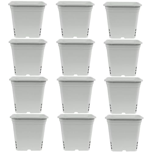 SUNPACK Square Tall Nursery Pot, White, 12" (Pack of 12) - Features Drainage Holes for Excess Water, Perfect for Greenhouse or Outdoor Growing - Durable, UV Resistant Plastic