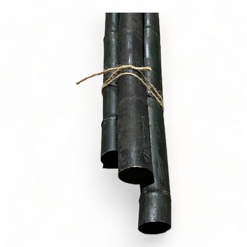 Pack of 3 Bamboo Sticks - 6 Feet Long Natural Thick Bamboo Poles - 1.5 in Diameter - Garden Stakes (Black) - color: Black