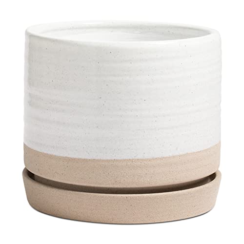 HERDUK 8 Inch Pots for Plants, Ceramic Planter Pot with Drainage Hole & Saucer, Indoor or Outdoor Cylinder Round Planter Pot, Matte White & Beige - color: White & Beige, size: 8 Inch