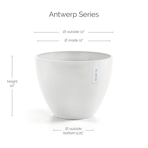 Ecopots Antwerp Round Tapered Flower Planter, Pure White, 12" - color: Pure White, size: 12"