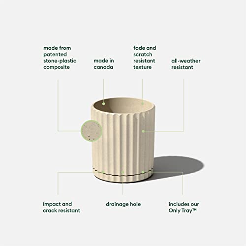 Veradek Demi Series Demi 6" Planter w/Tray, Sand - color: Sand, size: 6 inch