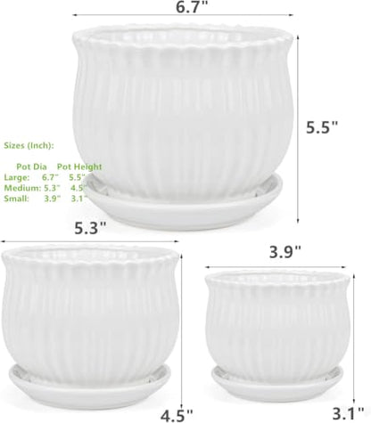 Yesland 3 Pack Ceramic Planter Pots, 3.9"/5.3"/6.7" Modern Round Flower Pots with Drainage Holes & Saucers, Small Indoor Planters for Succulent Cactus, Home Decor Gift