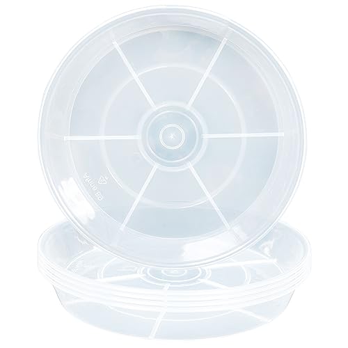 6 Pack 6 inch Plant Saucer Drip Tray, 4 5 6 8 9 10 12 14 16 18 inch, Heavy Sturdy Plastic Planter Flower Pot Saucers for Indoor Outdoor Garden, Plant Water Drip Trays for pots Base (6", Clear) - color: Clear, size: 6" - 6Pcs