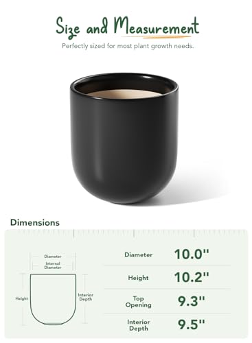 LE TAUCI 10 Inch Plant Pot, Ceramic Pots for Plants, Black - color: Black, size: 10"