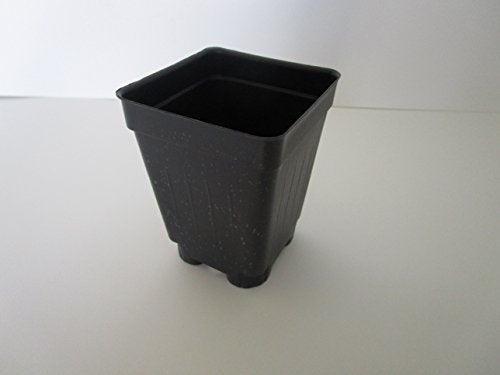 Set of 3 Trays and 96-2.5" Square Extra deep pots