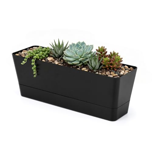 GREANER 12x3.8 Inch Herb Planters, 1 Pack Rectangle Window Boxes with Tray, Indoor Succulent Cactus Mint Plastic Pot for Windowsill, Balcony, Office, Outdoor Garden - Black - size: 1Pack/12x3.8in-black