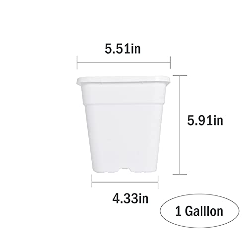 10-Pack 1Gallon Square Nursery Pots Plastic Garden Planter Pots Flower Seedling Container for Indoor Outdoor Plants Seedlings Flowers Vegetables White - size: 1 Gallon