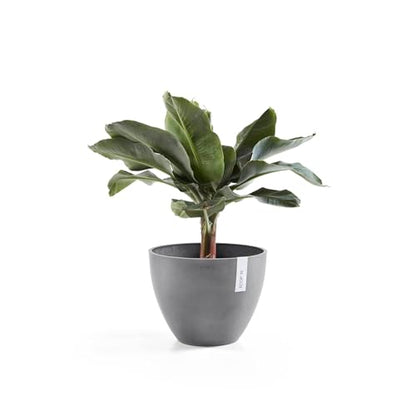 Ecopots Antwerp Round Tapered Flower Planter, Grey, 16" - color: Gray, size: 16"