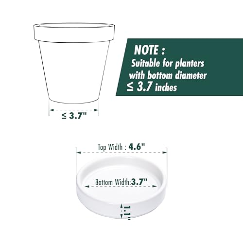 D'vine Dev 4-Pack Ceramic Plant Saucers, 3.7 in, White, 97-T-A-11 - color: White, size: 3.7" (4 Pack)