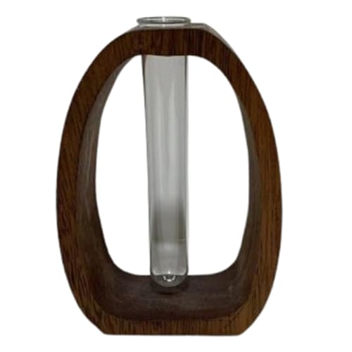Test Tube Vase Hydrophilic Plants Vase, Plants Propagation Stations with Wooden Stand,for Hydroponic Plants Home Garden Decoration
