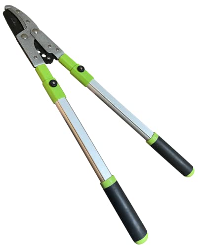 GARDEN GURU Extendable Anvil Lopper Tree Trimmer with Compound Action, Chops Thick Branches with Ease, 28-40”, Non-Stick High Carbon Steel Blade, Heavy Duty Branch Cutter, 2 Inch Clean Cut Capacity - size: 1 Pack, style: Extendable Anvil Lopper