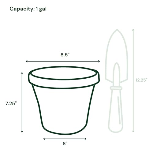 Bloem Terra 8" Plastic Planter, 1 Gallon, Navy, 6-Pack - color: Navy, size: 8" (Pack of 6)